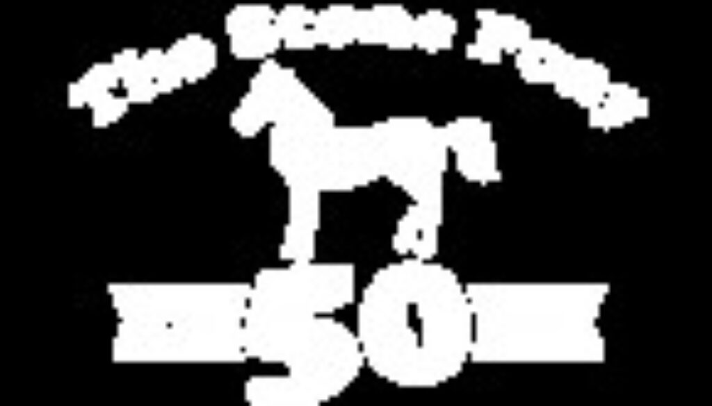 Pony50thforWebsite